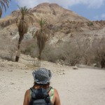 ein gedi trail